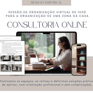 Consultoria Virtual de Organização